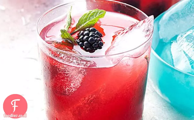 Blackberry-Mint Julep