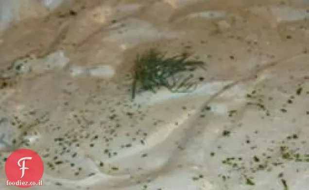 מטבל Gorgonzola