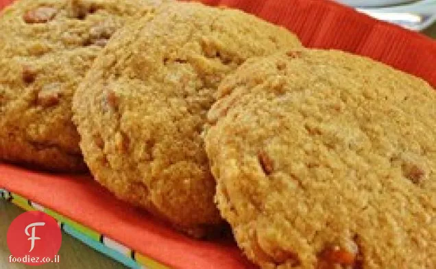 עוגיות קינמון לעיסים