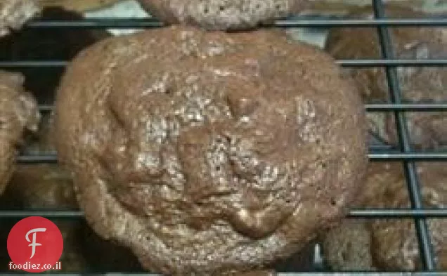 עוגיות אספרסו שוקולד