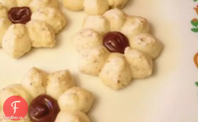 שושנים חומות II