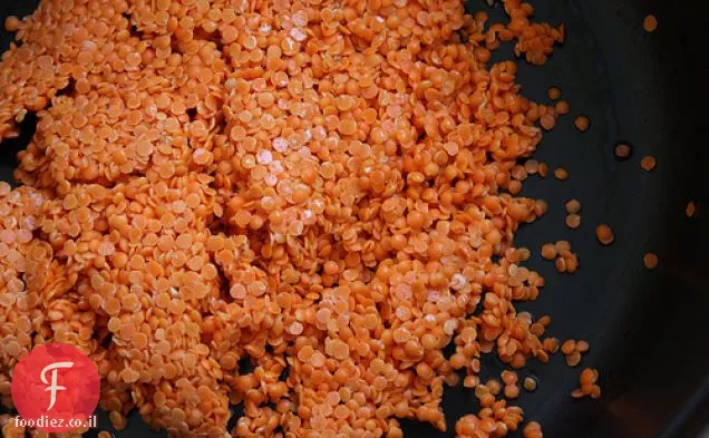 קל כתום עדשים דאל