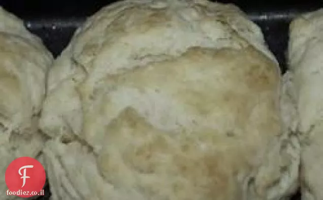 ביסקוויטים דרום ג'ורג'יה