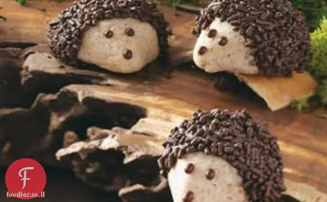 עוגיות קיפוד שוקולד-פקאן