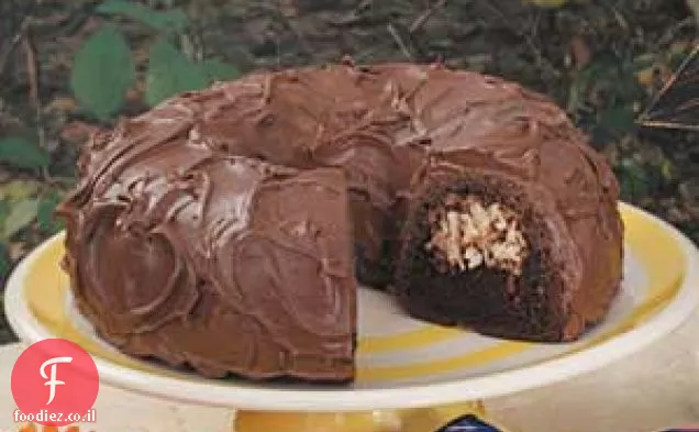 עוגת שוקולד קוקוס שוקולד