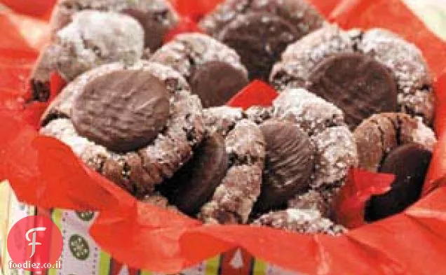 עוגיות שוקולד עם נענע