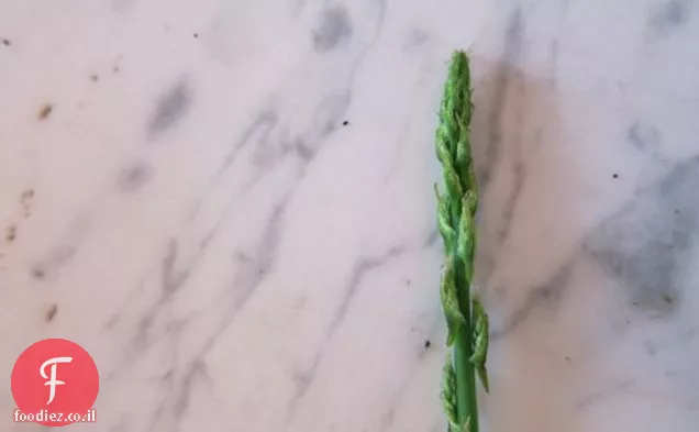 פריטטה של אספרגוס פראי