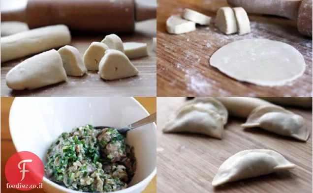 Chinese Jiaozi / כרישה וכופתאות חזיר (????)