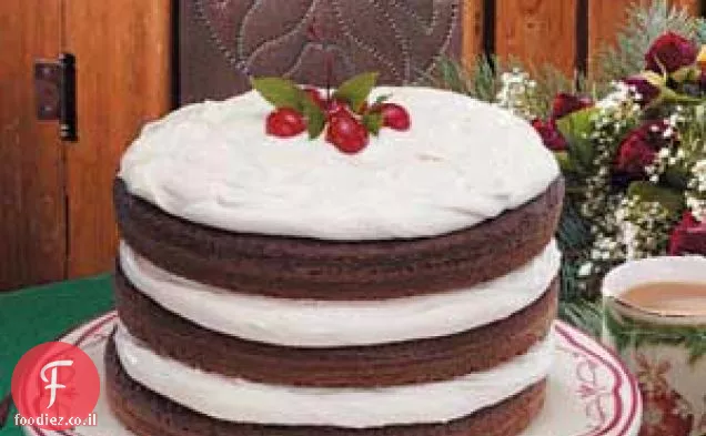 עוגת שוקולד עילית