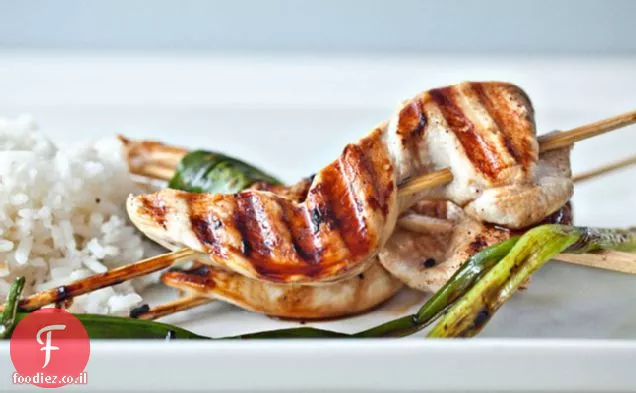 עוף בצל ירוק Yakitori