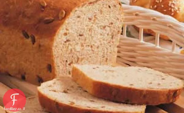 לחם חמניות