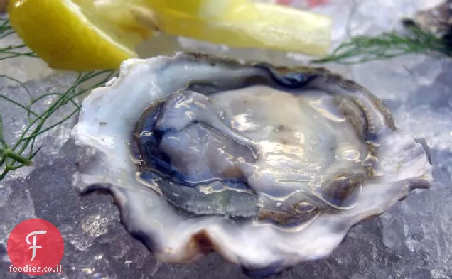 צדפות עם מתכון Mignonette קלאסי