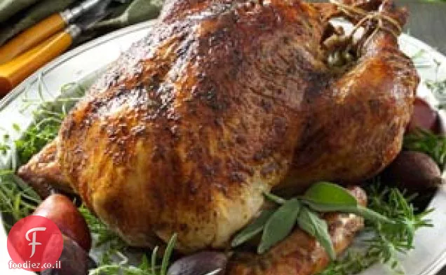 הודו במי מלח