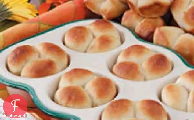 גלילי מקרר שלושה באחד