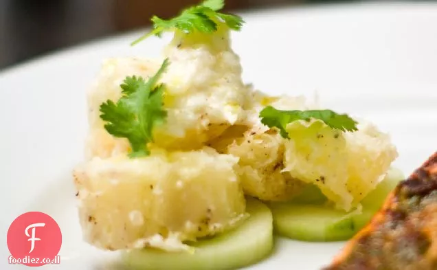 Yuca עם Mojo יוגורט