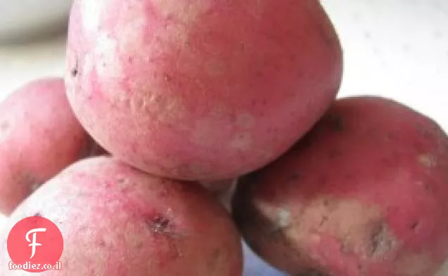 בייקון Gorgonzola ממולא תפוחי אדמה אדומים תינוק