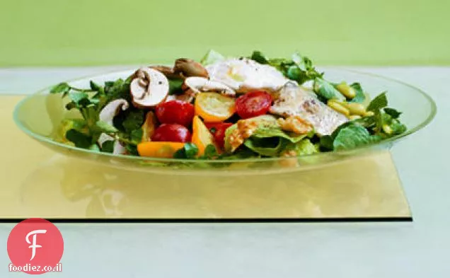 ויניגרט לימון-הרב