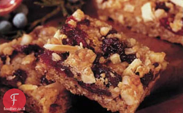 ברי Streusel משמש חמוציות