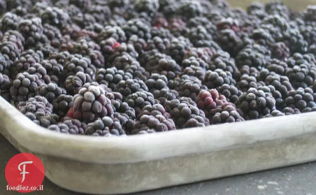 Blackberry Brambles