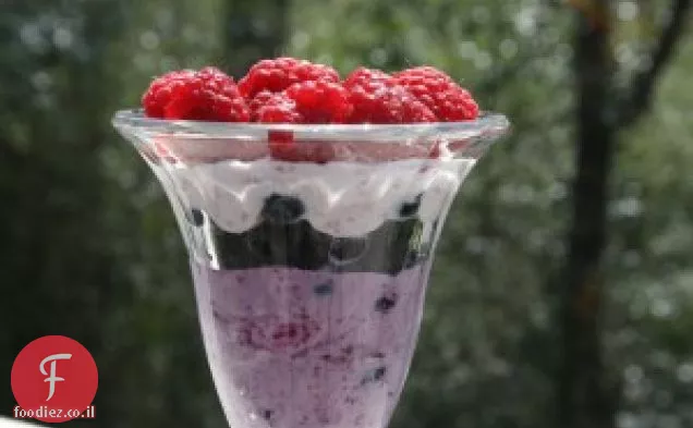 פטל אוכמניות Parfaits עם יוגורט יווני