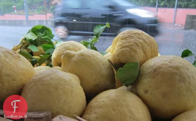 Insalata Di Cedro (סלט ציטרון)