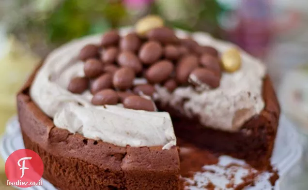עוגת מכתש שוקולד מוקה