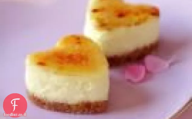 Brûléed מיני עוגות גבינה