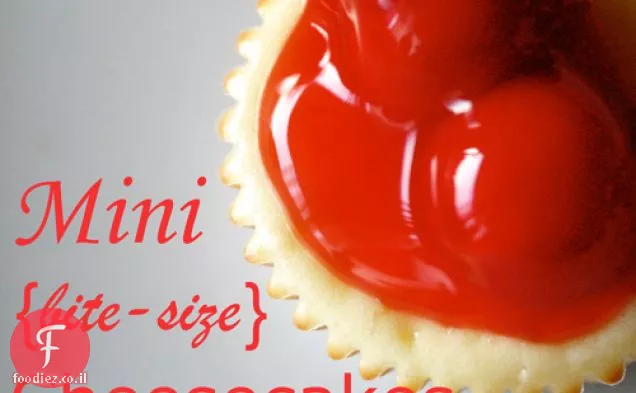 מתכון עוגת גבינה מיני
