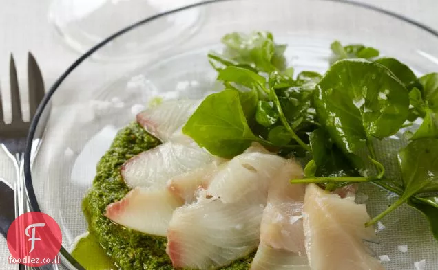 אדום סנאפר Crudo עם פסטו גרגיר הנחלים