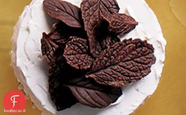 עוגות שוקולד-מנטה