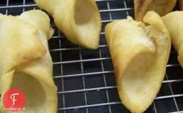 קונכיות קנולי