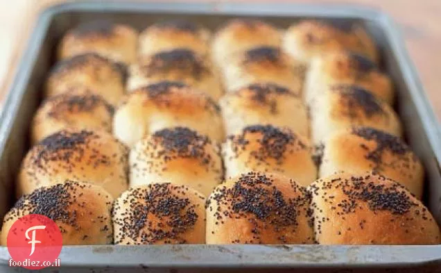 לחמניות תה הולנדית פנסילבניה