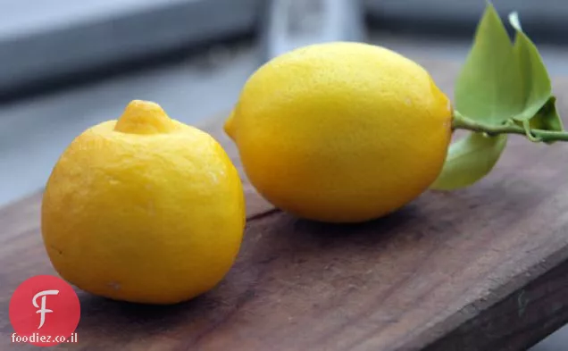 חטיפי לימון