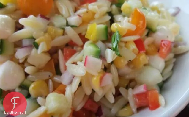 סלט קיצי קצוץ Orzo