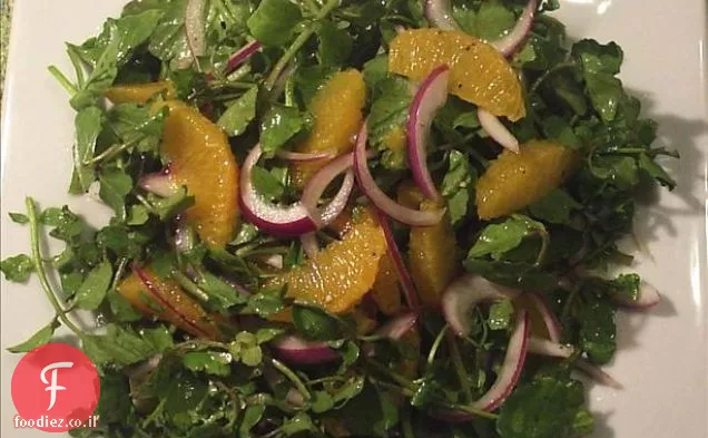 גרגיר הנחלים, סלט בצל כתום ואדום
