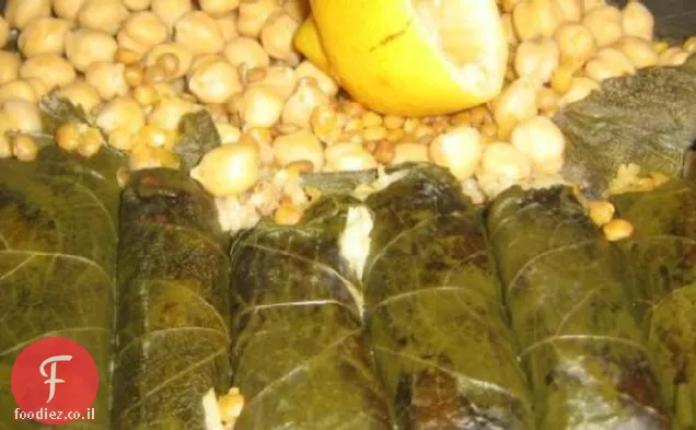 עלי ענבים ממולאים (Dolmades)