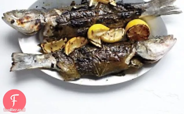 Branzino שלם עלי ענבים עם קישואים, זיתים, מנטה
