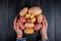 15 מתכונים קלים לתפוחי אדמה